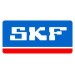 SKF <? echo $heading_title; ?>