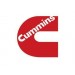 Original Cummins parts. Genuine Cummins spare parts <? echo $heading_title; ?>