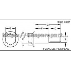 LVU11317 - Bolt LVU11317