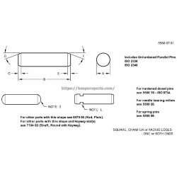 MT4189 - Pin Fastener MT4189