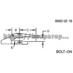 LVU19045 - Tooth LVU19045