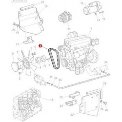 Fan Belt - 3780607M91 - Fan Belt