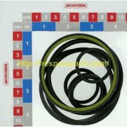 10992234 Slave cylinder seal kit for Econofold frame (GD0984)