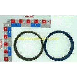 4628-1B Cylinder seal lift wheel cylinder  (complet set)