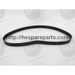 DB-817 - MULTI-RIB BELT