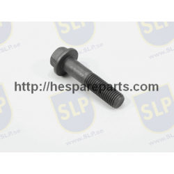SKR-008 - FLANGE SCREW