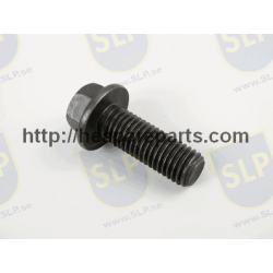 SKR-120 - FLANGE SCREW