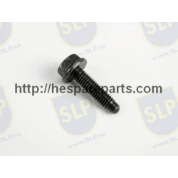 SKR-196 - FLANGE SCREW
