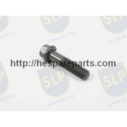 SKR-266 - FLANGE SCREW
