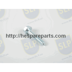 SKR-356 - FLANGE SCREW