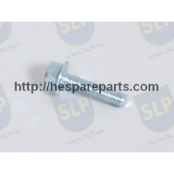 SKR-542 - FLANGE SCREW