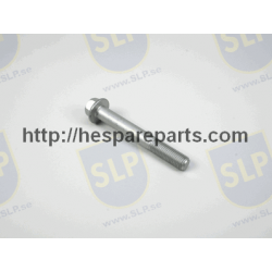 SKR-549 - FLANGE SCREW
