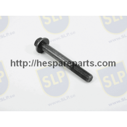 SKR-593 - FLANGE SCREW